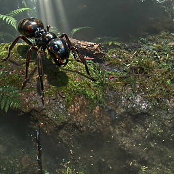 Free Ant Forest illustration and picture