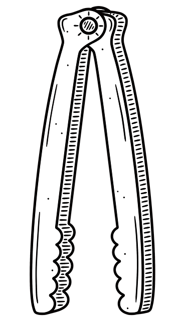 Free Kitchen Kitchen Utensils illustration and picture