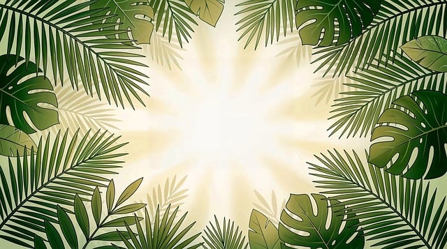 Free tropical palm monstera illustration