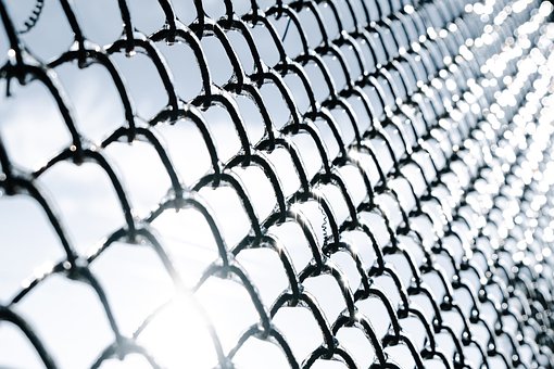 Free Fence Sunshine photo and picture