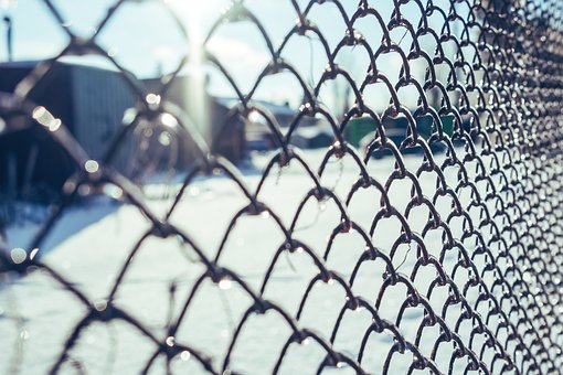 Free Fence Frost photo and picture