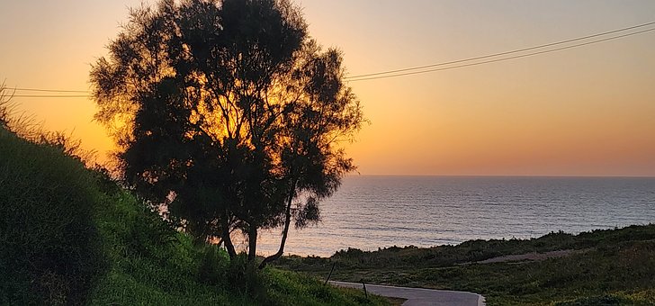 Árbol, Naturaleza, Oceano, Atardecer