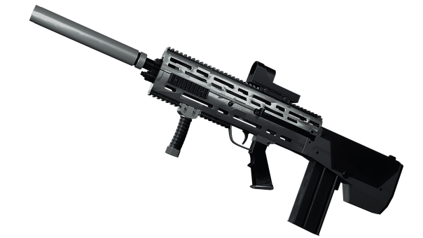 Free Weapon Gun photo and picture