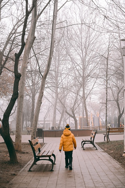 Free Fog Park photo and picture