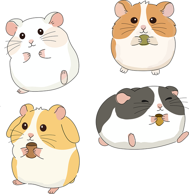 Tegneserie, Dyr, Sød, Hamster, Kæledyr