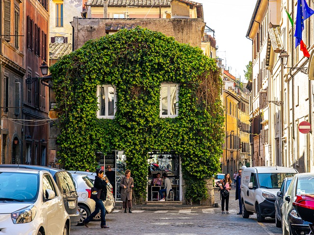 Italia, Pared, Hiedra, Vides, Calle
