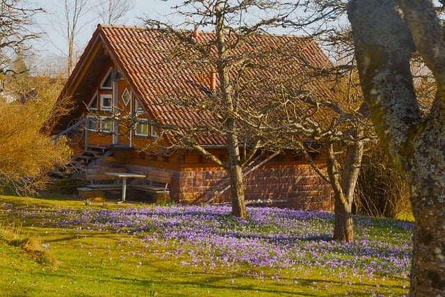 Free Cottage Spring photo and picture