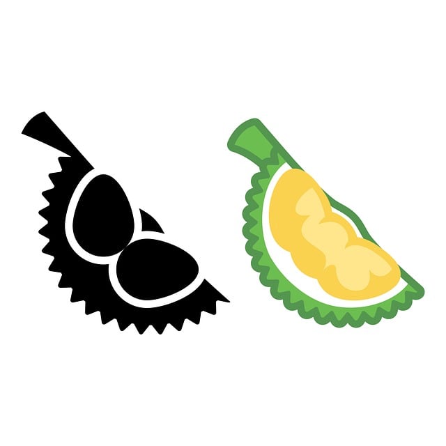 Free Durian Fruit vector and picture