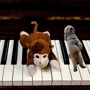 Free Piano Acoustic photo and picture