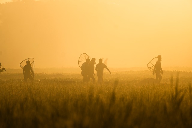 Free Fishing Dawn photo and picture