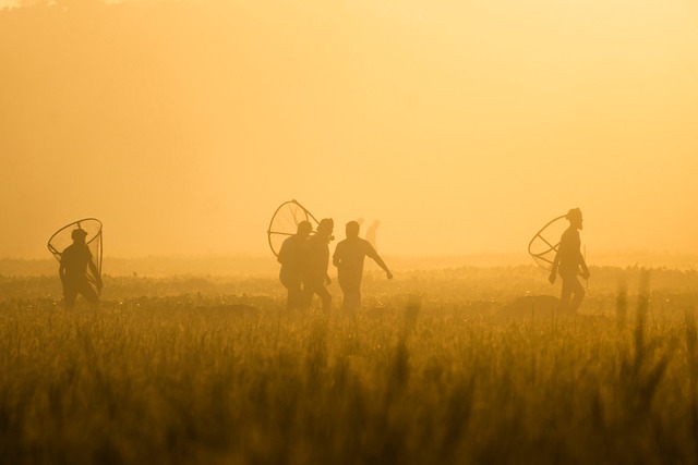 Free Herders Field photo and picture