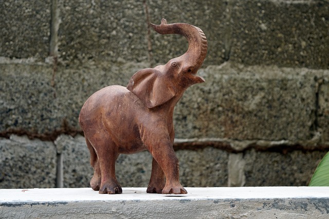 Free Elephant Nature photo and picture