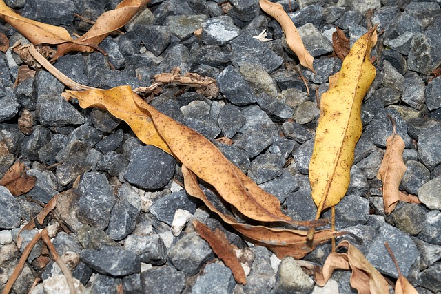 Free Sheet Stone photo and picture