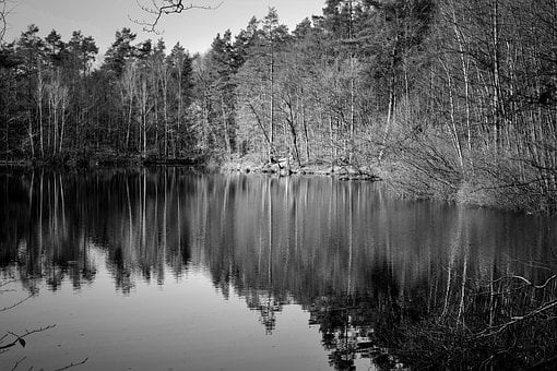Free Nature Reflection photo and picture