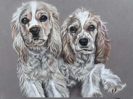 Free Dog Pet photo and picture
