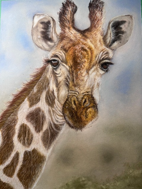 Free Giraffe Animal photo and picture