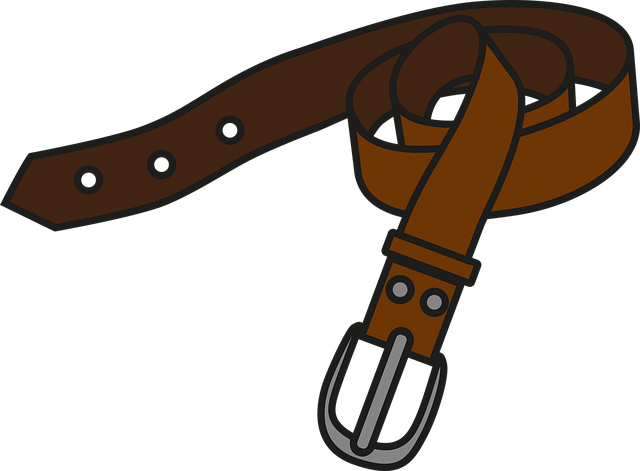 Free belt fashion rolled belt vector