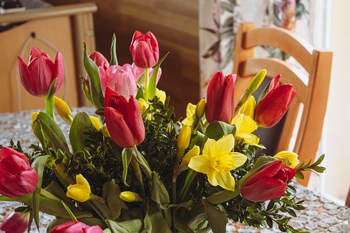Buket, Forår, Natur, Tulipan, Blomst