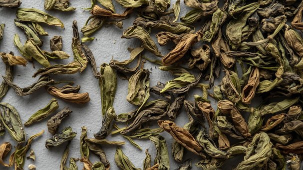 Free Tea Oolong photo and picture