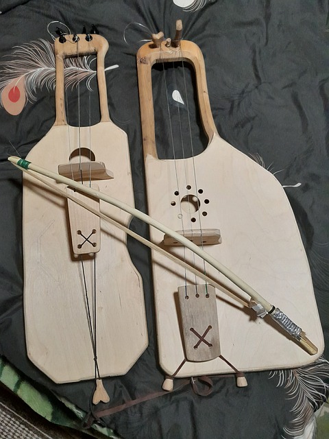 Instrumento Musical, Instrumento De Arco