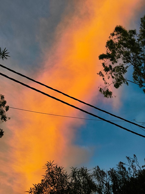 Free Sky Nature photo and picture