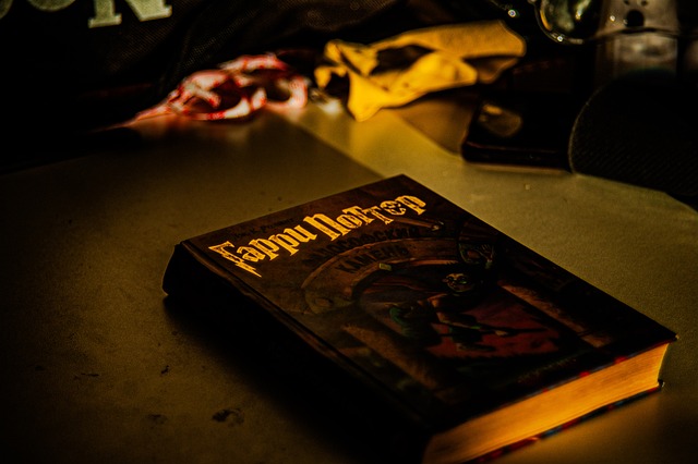 Libro, Libros, Leyendo, Leer, Literatura