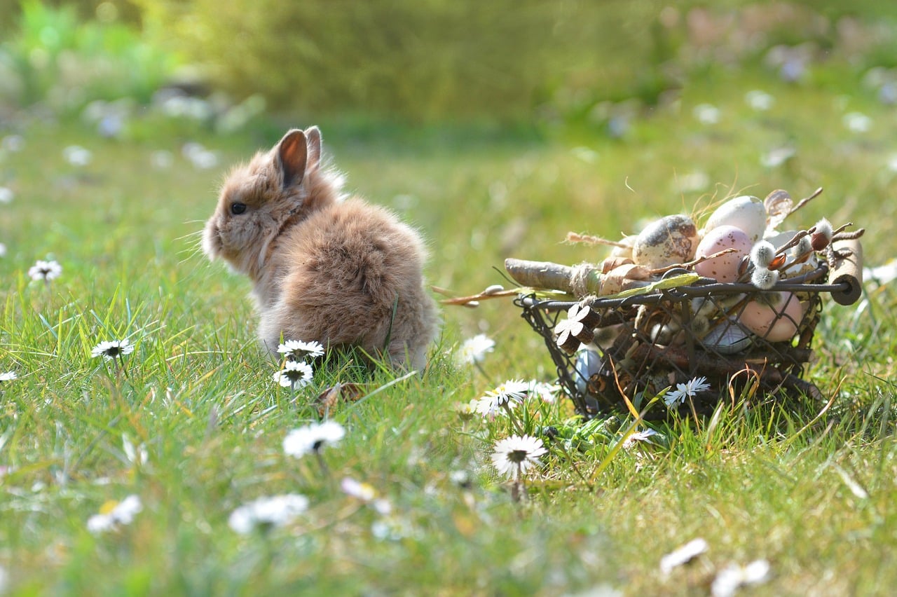 Easter - free online jigsaw puzzle photo