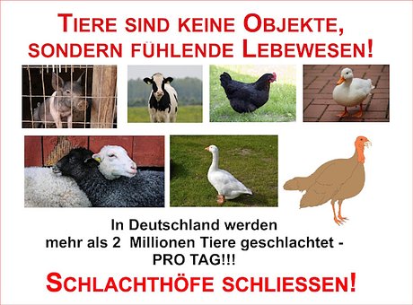 Het Welzijn Van Dieren, Dieren, Landbouw