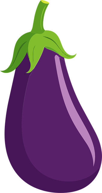 Free brinjal vegetable organic vector