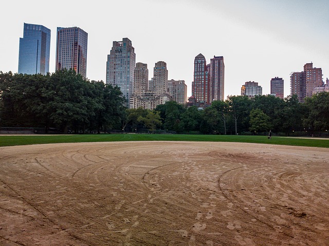 Parque Central, Campo De Beisebol
