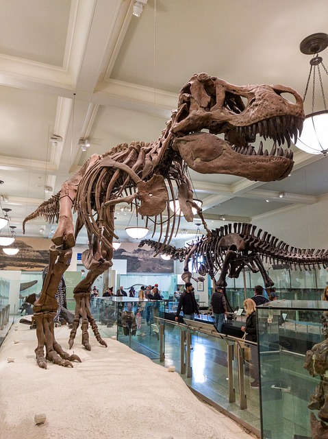 Dinossauro, T-Rex, Tiranossauro Rex