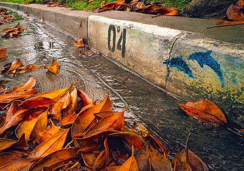 Efterår, Blade, Regn, Kantsten, Vandløb