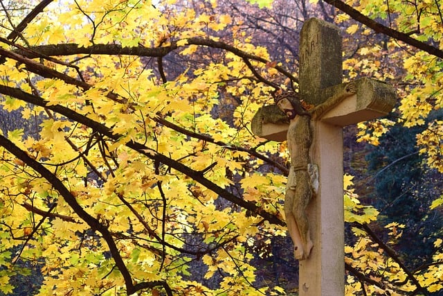 Free Autumn Cross photo and picture