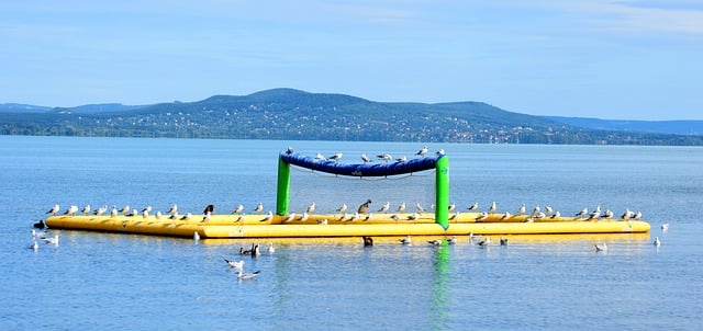 Free Lake Balaton photo and picture