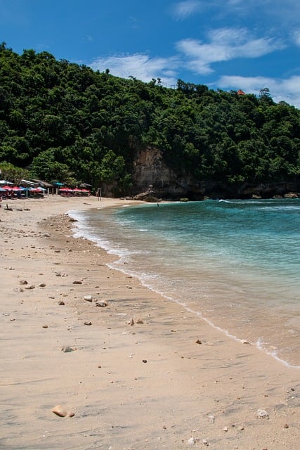 Free Beach Ocean photo and picture