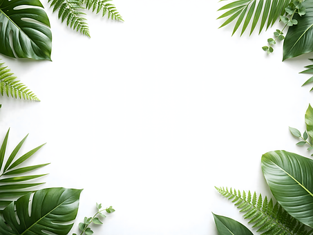 Free Tropical Leaves Tropical Background photo and picture