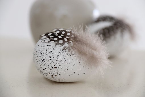 Ovo De Páscoa, Decoração, Penas