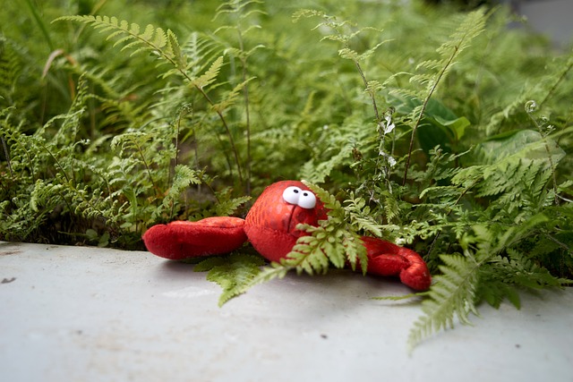Free Cute Nature photo and picture