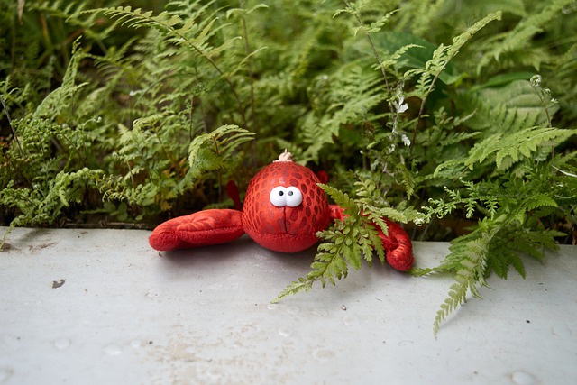 Free Cute Nature photo and picture