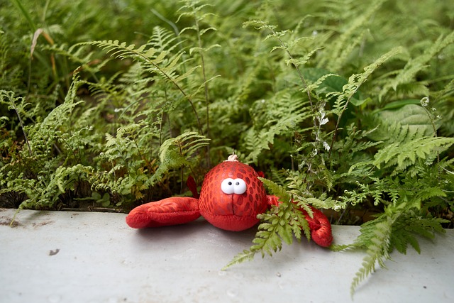 Free Cute Nature photo and picture