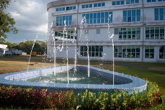 Free Fuente Agua photo and picture