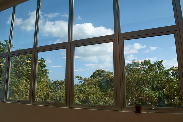 Free Window Landscape photo and picture