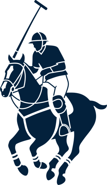 Free polo rider horse vector