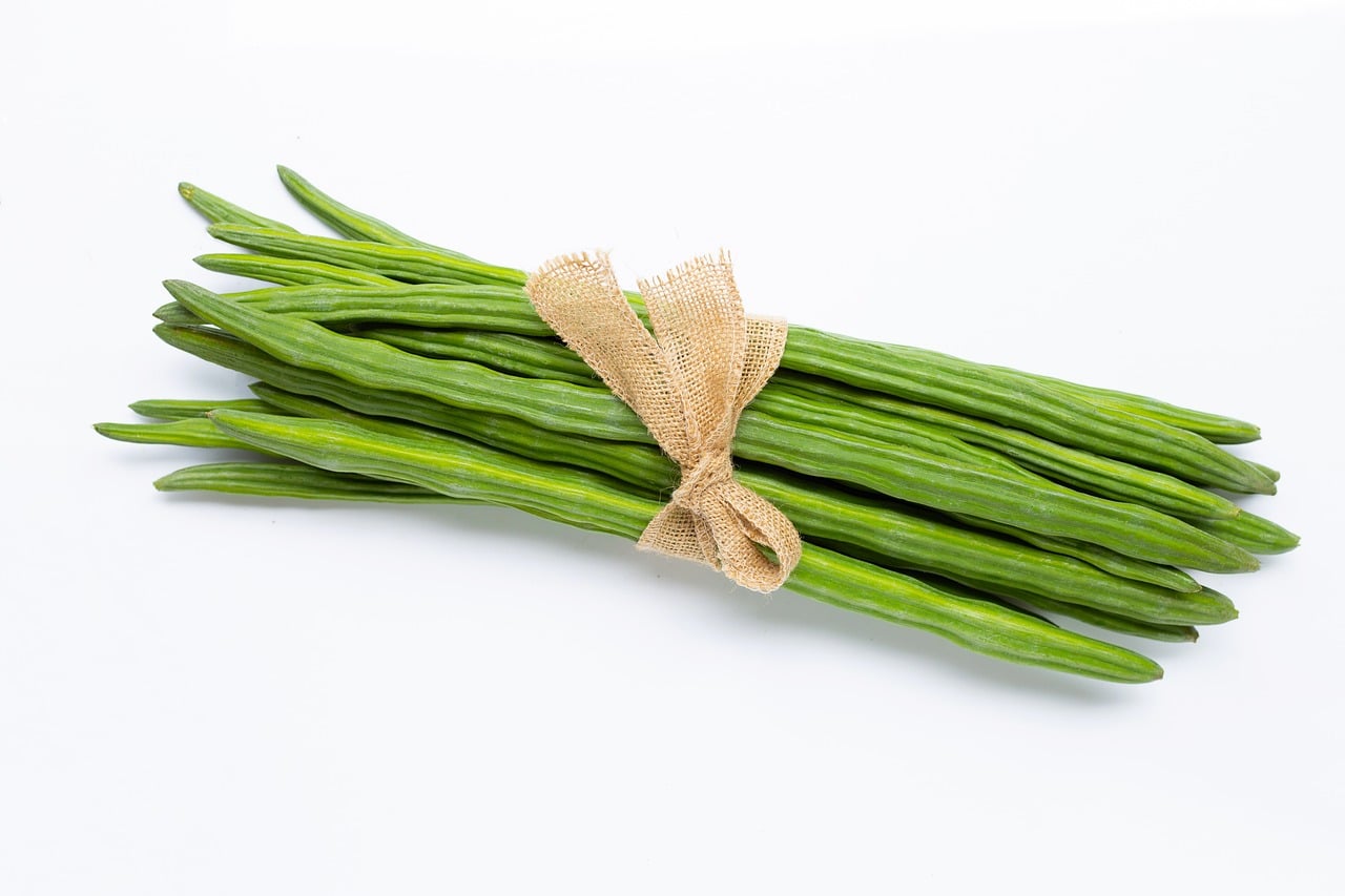 How to Grow Drumstick Plant at Home in India: The Ultimate Guide