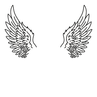 Flügel, Engel, Federn, Fliegen, Vogel
