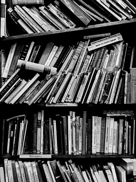 Bibliotek, Bøger, Hylder, Uddannelse
