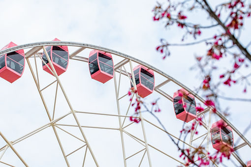 Free Ferris Wheel Gondolas photo and picture