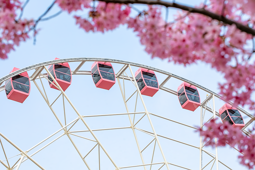 Free Ferris Wheel Sakura photo and picture