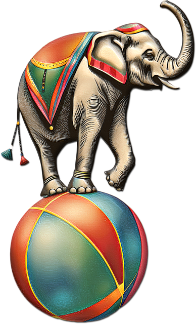 Elefante De Circo, Entretenimento