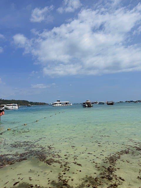 Free Beach Krabi photo and picture